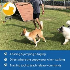 CF Pack - Hond Buitenspeelgoed Actief Behendigheid Touw Dog Flirt Pole Flirtpole Toy Tug Tease Wand Non-Bungee Cord Dog Toy For Fun Obedience Training Extandable Toy Honden Speelgoed Hondenspeelgoed Behendigheidspeelgoed -Dierenwinkel 1200x1200 277