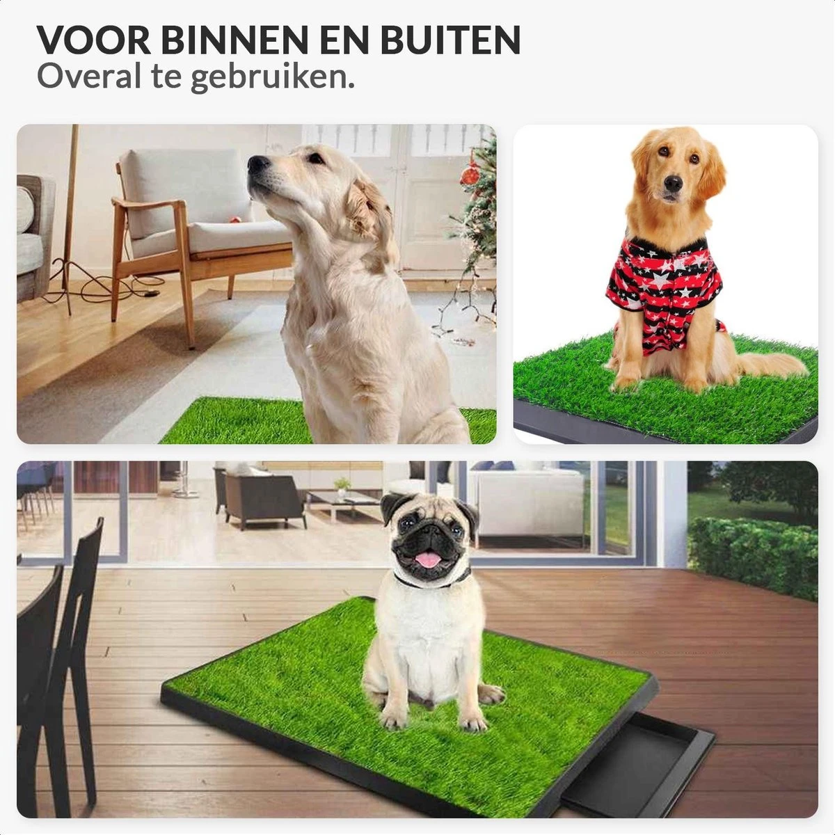 Merkloos Hondentoilet Kunstgras Met Bak - Indoor Dierentoilet - Uitneembare Opvangbak - Puppy Training Pets - Outdoor/Balkon/Tuin/Indoor Toilet - 50x64 Cm 9 Merkloos Hondentoilet Kunstgras Met Bak - Indoor Dierentoilet - Uitneembare Opvangbak - Puppy Training Pets - Outdoor/Balkon/Tuin/Indoor Toilet - 50x64 Cm - Afbeelding 7