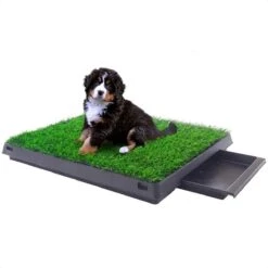 Merkloos Hondentoilet Kunstgras Met Bak - Indoor Dierentoilet - Uitneembare Opvangbak - Puppy Training Pets - Outdoor/Balkon/Tuin/Indoor Toilet - 50x64 Cm 19 Merkloos Hondentoilet Kunstgras Met Bak - Indoor Dierentoilet - Uitneembare Opvangbak - Puppy Training Pets - Outdoor/Balkon/Tuin/Indoor Toilet - 50x64 Cm -Dierenwinkel 1200x1200 285