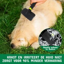Mister Mill Professionele Set Slicker Honden Kattenborstel Plus Nagelknipper Plus Ondervacht Kam 27 Mister Mill Professionele Set Slicker Honden Kattenborstel Plus Nagelknipper Plus Ondervacht Kam -Dierenwinkel 1200x1200 30
