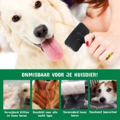 Mister Mill Professionele Set Slicker Honden Kattenborstel Plus Nagelknipper Plus Ondervacht Kam 31 Mister Mill Professionele Set Slicker Honden Kattenborstel Plus Nagelknipper Plus Ondervacht Kam -Dierenwinkel 1200x1200 32
