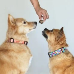 Topdiervoeding Runderlong Hondensnacks - Vers Gedroogd - Knapperig - 1 KG -Dierenwinkel 1200x1200 337