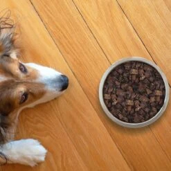 Topdiervoeding Runderlong Hondensnacks - Vers Gedroogd - Knapperig - 1 KG -Dierenwinkel 1200x1200 338