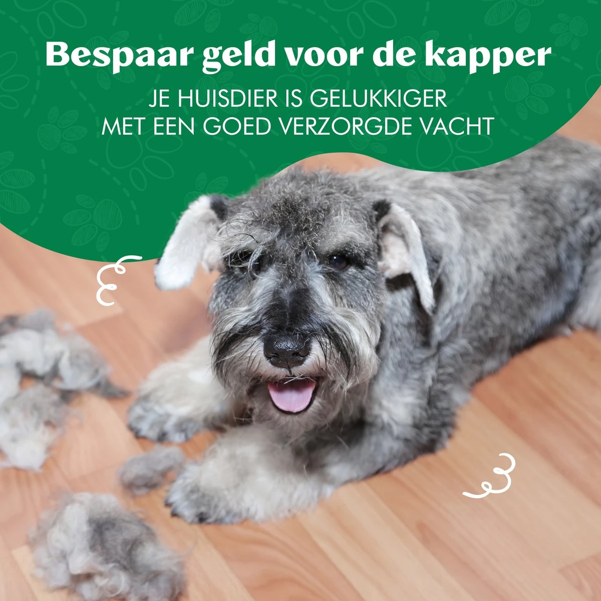 Mister Mill Professionele Set Slicker Honden Kattenborstel Plus Nagelknipper Plus Ondervacht Kam 15 Mister Mill Professionele Set Slicker Honden Kattenborstel Plus Nagelknipper Plus Ondervacht Kam - Afbeelding 13