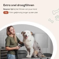 MiMOPETS® Hondenföhn Met 4 Opzetstukken – Waterblazer Voor Honden Met Geluiddemper -Hondendroger - Zwart 17 MiMOPETS® Hondenföhn Met 4 Opzetstukken – Waterblazer Voor Honden Met Geluiddemper -Hondendroger - Zwart -Dierenwinkel 1200x1200 352