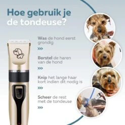 BYER Professionele Dieren Tondeuse Set - Voor Huisdieren Katten & Honden - Draadloos - Oplaadbare Pet Trimmer - Dog Tondeuze Clipper - 5 Standen & Vier Opzetkammen - Low Noise 17 BYER Professionele Dieren Tondeuse Set - Voor Huisdieren Katten & Honden - Draadloos - Oplaadbare Pet Trimmer - Dog Tondeuze Clipper - 5 Standen & Vier Opzetkammen - Low Noise -Dierenwinkel 1200x1200 357