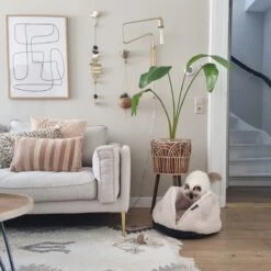 District 70 TUCK - Luxe & Comfortabele Mand Kleine Honden - Terra, Donkergrijs & Zand - 50x50x30 Cm - Zand 27 District 70 TUCK - Luxe & Comfortabele Mand Kleine Honden - Terra, Donkergrijs & Zand - 50x50x30 Cm - Zand -Dierenwinkel 1200x1200 359