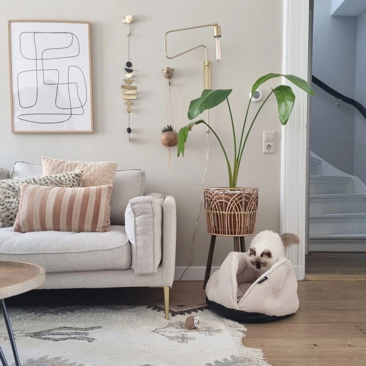 District 70 TUCK - Luxe & Comfortabele Mand Kleine Honden - Terra, Donkergrijs & Zand - 50x50x30 Cm - Zand 12 District 70 TUCK - Luxe & Comfortabele Mand Kleine Honden - Terra, Donkergrijs & Zand - 50x50x30 Cm - Zand - Afbeelding 10