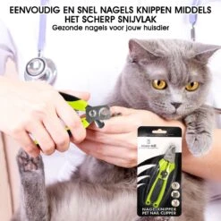 Mister Mill Professionele Set Slicker Honden Kattenborstel Plus Nagelknipper Plus Ondervacht Kam 37 Mister Mill Professionele Set Slicker Honden Kattenborstel Plus Nagelknipper Plus Ondervacht Kam -Dierenwinkel 1200x1200 36