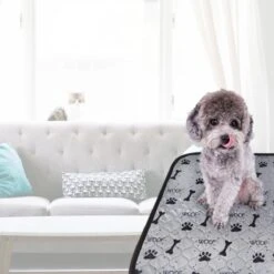 Jooba Puppy Training Pads - Wasbare Puppy Pads 2 Stuks - Hondentoilet - 70x50cm - Puppy 17 Jooba Puppy Training Pads - Wasbare Puppy Pads 2 Stuks - Hondentoilet - 70x50cm - Puppy -Dierenwinkel 1200x1200 364