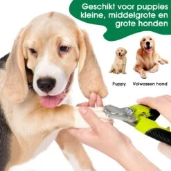 Mister Mill Professionele Set Slicker Honden Kattenborstel Plus Nagelknipper Plus Ondervacht Kam 38 Mister Mill Professionele Set Slicker Honden Kattenborstel Plus Nagelknipper Plus Ondervacht Kam -Dierenwinkel 1200x1200 37