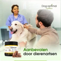 DOG OPTIMAL ANTI ALLERGY SUPPORT 120 Stuks - Allergie - Honden - Hondensnacks - Hondenkoekjes - Hondensupplementen - Honden - Puppy - Hondenvoeding - Weerstand - Jeuk-hond - Jeuk 12 DOG OPTIMAL ANTI ALLERGY SUPPORT 120 Stuks - Allergie - Honden - Hondensnacks - Hondenkoekjes - Hondensupplementen - Honden - Puppy - Hondenvoeding - Weerstand - Jeuk-hond - Jeuk -Dierenwinkel 1200x1200 380