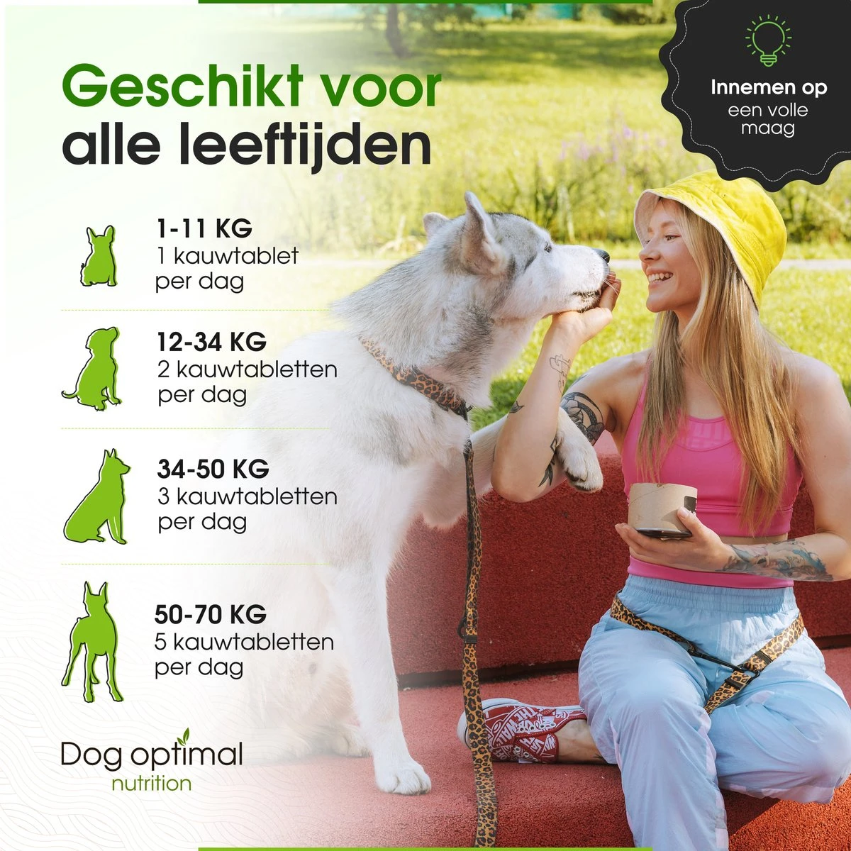 DOG OPTIMAL ANTI ALLERGY SUPPORT 120 Stuks - Allergie - Honden - Hondensnacks - Hondenkoekjes - Hondensupplementen - Honden - Puppy - Hondenvoeding - Weerstand - Jeuk-hond - Jeuk 9 DOG OPTIMAL ANTI ALLERGY SUPPORT 120 Stuks - Allergie - Honden - Hondensnacks - Hondenkoekjes - Hondensupplementen - Honden - Puppy - Hondenvoeding - Weerstand - Jeuk-hond - Jeuk - Afbeelding 7