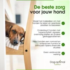 RUST EN KALMEREN CALMING Support 120 Stuks - Kalmeren - AntistressmiddelHond - Hond - Hondenkoekjes - Hondensupplementen - Honden - Puppy - Hondenvoeding -Dierenwinkel 1200x1200 389