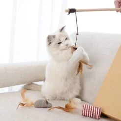 GIZMO Luxe Kattenspeeltjes Set - 7 Speeltjes - Interactieve Kattenhengel, Kattenspeelgoed & Speelmuisjes - Kitten Speeltjes 21 GIZMO Luxe Kattenspeeltjes Set - 7 Speeltjes - Interactieve Kattenhengel, Kattenspeelgoed & Speelmuisjes - Kitten Speeltjes -Dierenwinkel 1200x1200 410