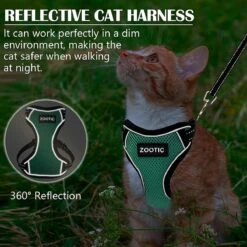 Kattentuigje Met Leiband Riem Kattenharnas Groen Maat M Kat & Kitten - Dieren Kattenriem - Cat Leash - Halsomvang 20 Tot 26cm - Borstomvang 30 Tot 34cm - Zootic® 14 Kattentuigje Met Leiband Riem Kattenharnas Groen Maat M Kat & Kitten - Dieren Kattenriem - Cat Leash - Halsomvang 20 Tot 26cm - Borstomvang 30 Tot 34cm - Zootic® -Dierenwinkel 1200x1200 421