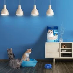 Nobleza 48REM - Tofu Kattenbakvulling - Snel Absorberend - 3.8 L - Klontvormend - 2 Kg 14 Nobleza 48REM - Tofu Kattenbakvulling - Snel Absorberend - 3.8 L - Klontvormend - 2 Kg -Dierenwinkel 1200x1200 459