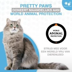 Pretty Paws PP002 Professionele Automatische Voerbak Kat- Stemrecorder - Voerautomaat - Katten Voerbak - Minimalistisch 27 Pretty Paws PP002 Professionele Automatische Voerbak Kat- Stemrecorder - Voerautomaat - Katten Voerbak - Minimalistisch -Dierenwinkel 1200x1200 465