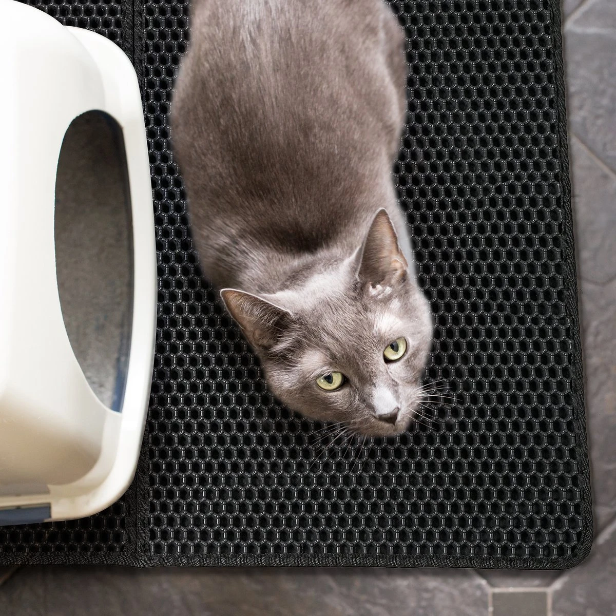Merkloos Tastelio XXL Kattenbakmat 75x55cm - Groot Kattenbak Mat Met Innovatieve Honingraatstructuur - Dubbele Waterdichte Laag - Katten Bak Mat Met Eenvoudige Reiniging Grit Opvanger 4 Merkloos Tastelio XXL Kattenbakmat 75x55cm - Groot Kattenbak Mat Met Innovatieve Honingraatstructuur - Dubbele Waterdichte Laag - Katten Bak Mat Met Eenvoudige Reiniging Grit Opvanger - Afbeelding 2