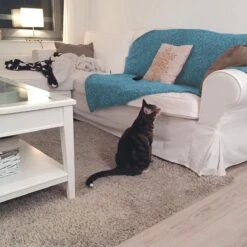 HG Tegen Urine Geur - 500 Ml - Effectief En Snel Resultaat - Neemt De Geur Definitief Weg 8 HG Tegen Urine Geur - 500 Ml - Effectief En Snel Resultaat - Neemt De Geur Definitief Weg -Dierenwinkel 1200x1200 476