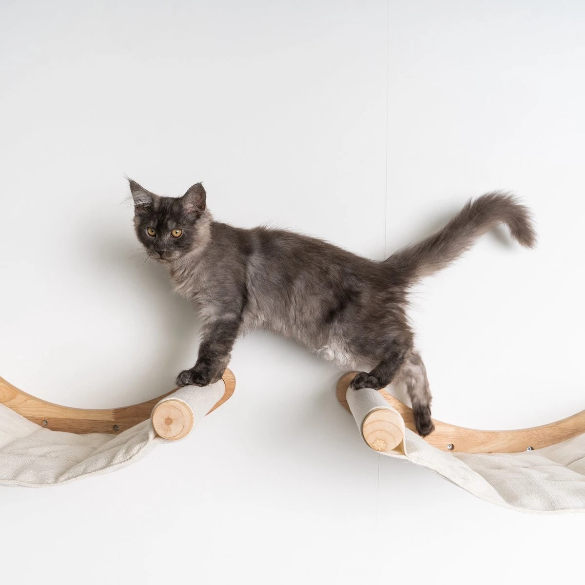 RHRQuality Wandmeubel Wandmontage Klimmuur Kat 53 X 43cm Luxe Hangmat XXL Creme Klim Wand Muur Krabpaal Katten Muurbevestiging 6 RHRQuality Wandmeubel Wandmontage Klimmuur Kat 53 X 43cm Luxe Hangmat XXL Creme Klim Wand Muur Krabpaal Katten Muurbevestiging - Afbeelding 4