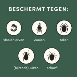 3 Stuks Vlooienband Kat Tekenband - 100% Natuurlijk Veilig En Waterbestendig 17 3 Stuks Vlooienband Kat Tekenband - 100% Natuurlijk Veilig En Waterbestendig -Dierenwinkel 1200x1200 519