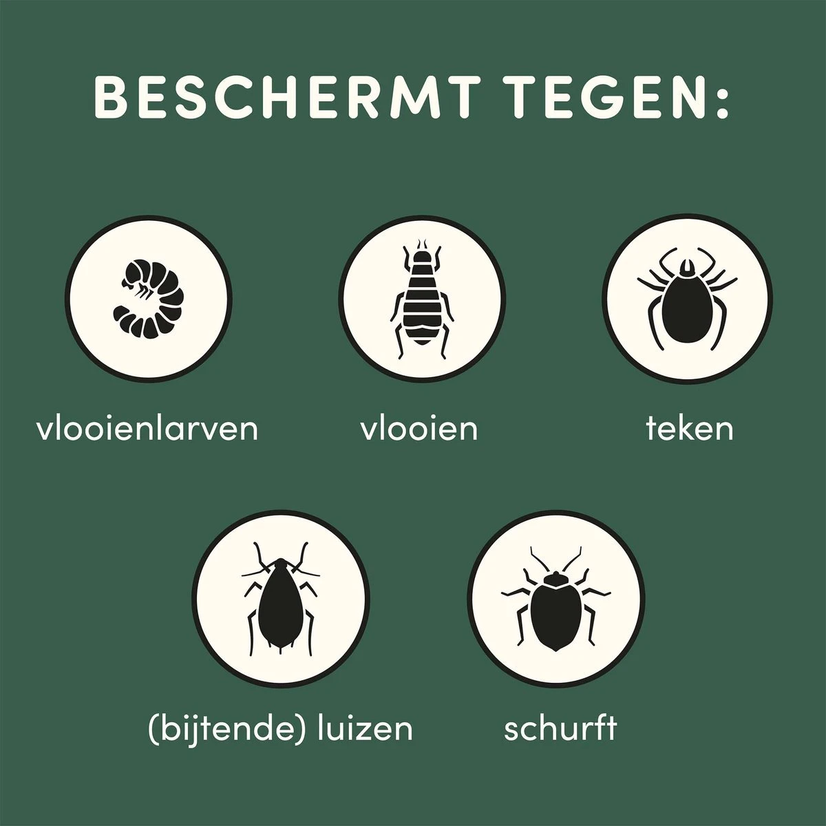 3 Stuks Vlooienband Kat Tekenband - 100% Natuurlijk Veilig En Waterbestendig 10 3 Stuks Vlooienband Kat Tekenband - 100% Natuurlijk Veilig En Waterbestendig - Afbeelding 8