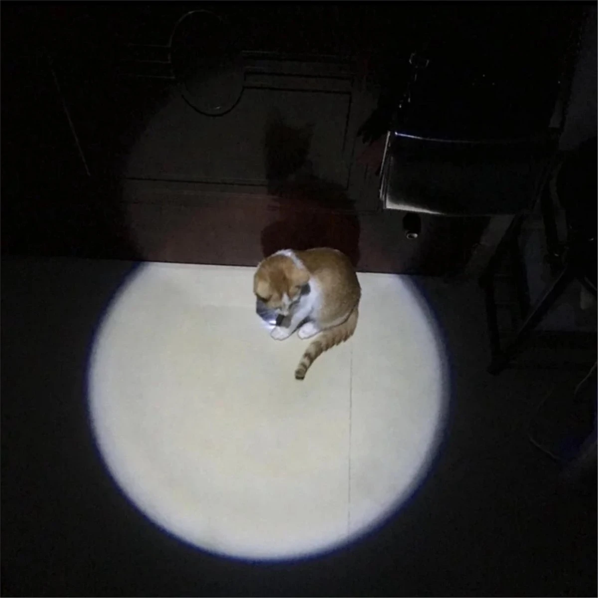 Merkloos Hoogwaardig Laserlampje Voor Katten | USB Oplaadbaar | 7 In 1 Laserpen | Laserpen | Zaklamp | Kattenspeeltje | Kattenspeelgoed | Zilver | Laserpointer Rood/groen | UV Licht 9 Merkloos Hoogwaardig Laserlampje Voor Katten | USB Oplaadbaar | 7 In 1 Laserpen | Laserpen | Zaklamp | Kattenspeeltje | Kattenspeelgoed | Zilver | Laserpointer Rood/groen | UV Licht - Afbeelding 7