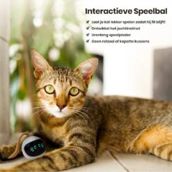Otiume Interactieve Speelbal - Slimme Interactieve Jaag Speeltje Voor Katten - Kattenspeeltjes - Intelligente Jaagbal - AI -USB Oplaadbaar - LED - Blauw 15 Otiume Interactieve Speelbal - Slimme Interactieve Jaag Speeltje Voor Katten - Kattenspeeltjes - Intelligente Jaagbal - AI -USB Oplaadbaar - LED - Blauw -Dierenwinkel 1200x1200 530