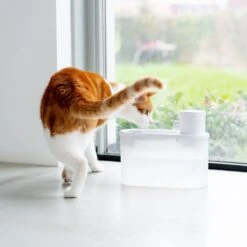 Hoopo® Agua - DRAADLOZE Waterfontein Katten - SMART Waterfontein Katten - UVC Disinfectie - 2 Liter - Automatische Katten Fontein 14 Hoopo® Agua - DRAADLOZE Waterfontein Katten - SMART Waterfontein Katten - UVC Disinfectie - 2 Liter - Automatische Katten Fontein -Dierenwinkel 1200x1200 543