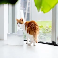 Hoopo® Agua - DRAADLOZE Waterfontein Katten - SMART Waterfontein Katten - UVC Disinfectie - 2 Liter - Automatische Katten Fontein 15 Hoopo® Agua - DRAADLOZE Waterfontein Katten - SMART Waterfontein Katten - UVC Disinfectie - 2 Liter - Automatische Katten Fontein -Dierenwinkel 1200x1200 544