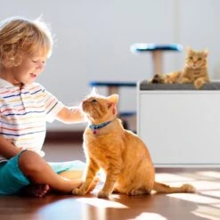 Relaxdays Kattenbak Ombouw - Met Zitkussen - Kattenhuis Wit - Kattenmeubel - Kattenkast 15 Relaxdays Kattenbak Ombouw - Met Zitkussen - Kattenhuis Wit - Kattenmeubel - Kattenkast -Dierenwinkel 1200x1200 560