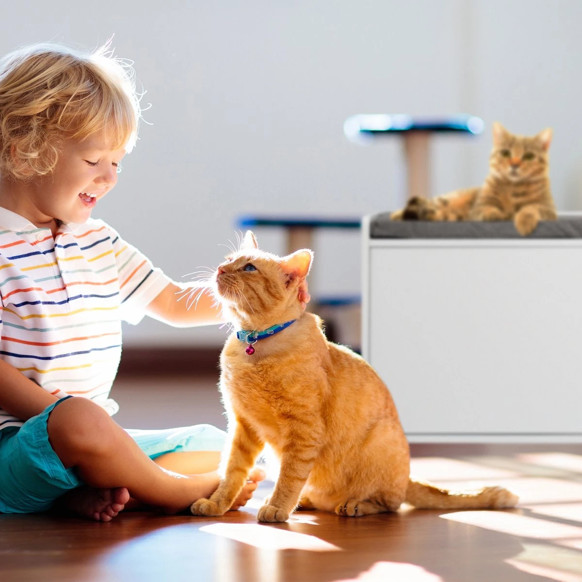 Relaxdays Kattenbak Ombouw - Met Zitkussen - Kattenhuis Wit - Kattenmeubel - Kattenkast 6 Relaxdays Kattenbak Ombouw - Met Zitkussen - Kattenhuis Wit - Kattenmeubel - Kattenkast - Afbeelding 4