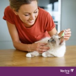 VECTRA Felis - Vlooiendruppels - Voor Katten 0.6 T/m 10 Kg - 3 Pipetten 9 VECTRA Felis - Vlooiendruppels - Voor Katten 0.6 T/m 10 Kg - 3 Pipetten -Dierenwinkel 1200x1200 562