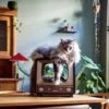 District 70 TELLY - Retro TV Krabmeubel - Instagrammable Kartonnen TV Voor Katten - 39 X 27 X 37 Cm 1 District 70 TELLY - Retro TV Krabmeubel - Instagrammable Kartonnen TV Voor Katten - 39 X 27 X 37 Cm -Dierenwinkel 1200x1200 563