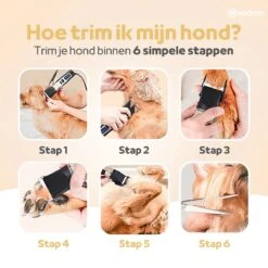 Woodoro Professionele 2-in-1 Hondentondeuse Voor Dikke Vacht – Draadloze Honden Tondeuse & Hondentrimmer – Stille Tondeuse Katten & Honden Trimset 18 Woodoro Professionele 2-in-1 Hondentondeuse Voor Dikke Vacht – Draadloze Honden Tondeuse & Hondentrimmer – Stille Tondeuse Katten & Honden Trimset -Dierenwinkel 1200x1200 57