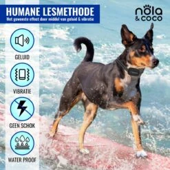 Nola & Coco® Oplaadbare Anti Blafband - 4 Kleuren - Zonder Schok - Waterdichte Diervriendelijke Blaf Halsband - Opvoedingshalsband - Voor Grote En Kleine Honden - Lichte Vibratie En Geluid - 3 Tot 60kg 12 Nola & Coco® Oplaadbare Anti Blafband - 4 Kleuren - Zonder Schok - Waterdichte Diervriendelijke Blaf Halsband - Opvoedingshalsband - Voor Grote En Kleine Honden - Lichte Vibratie En Geluid - 3 Tot 60kg -Dierenwinkel 1200x1200 66