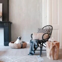 District 70 COCOON - Luxe Hondenmand Van Duurzaam Hoogwaardig Riet Met Zacht Kussen - Maten S/M/L - Large 24 District 70 COCOON - Luxe Hondenmand Van Duurzaam Hoogwaardig Riet Met Zacht Kussen - Maten S/M/L - Large -Dierenwinkel 1200x1200 81