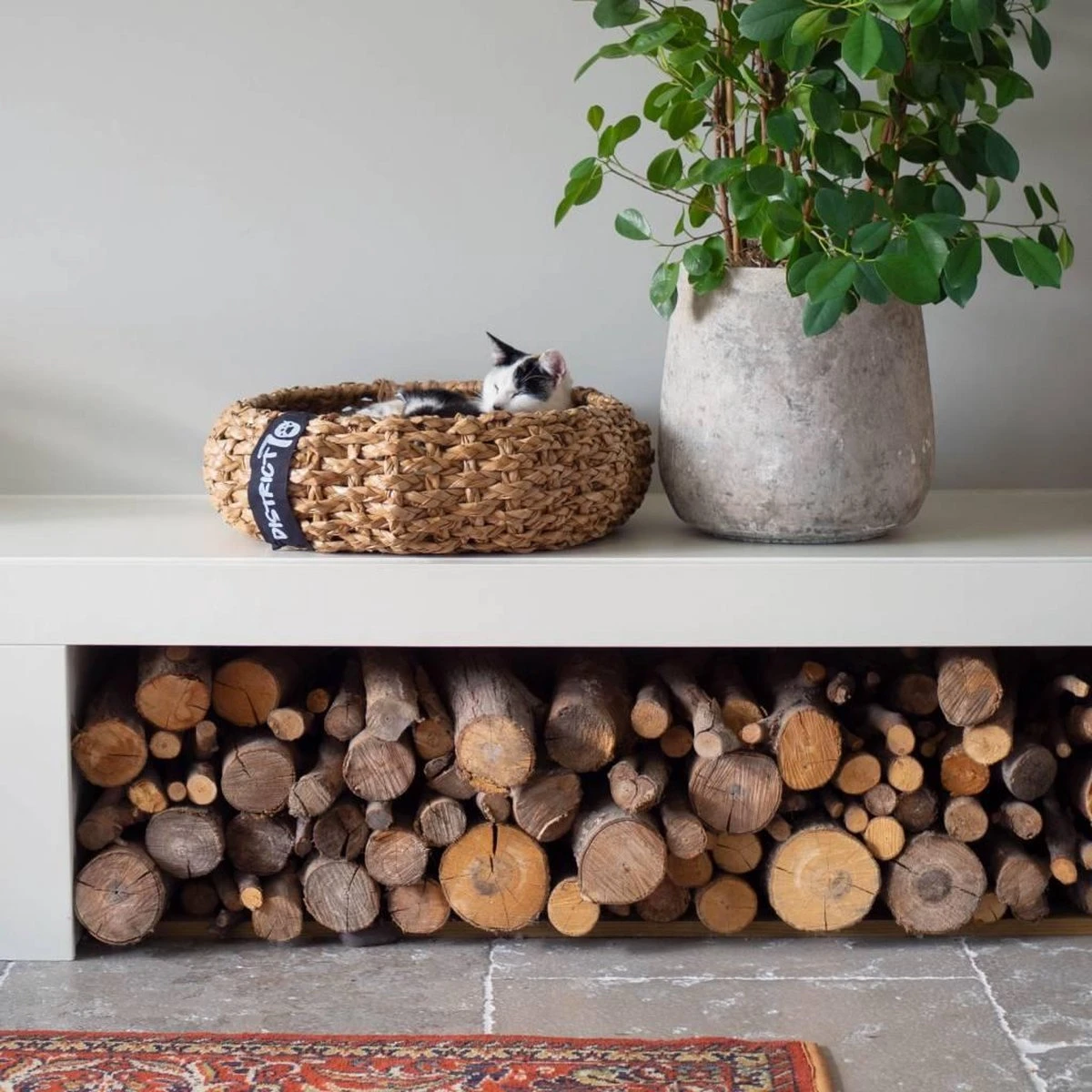 District 70 COCOON - Luxe Hondenmand Van Duurzaam Hoogwaardig Riet Met Zacht Kussen - Maten S/M/L - Large 6 District 70 COCOON - Luxe Hondenmand Van Duurzaam Hoogwaardig Riet Met Zacht Kussen - Maten S/M/L - Large - Afbeelding 4