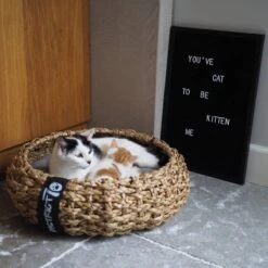 District 70 COCOON - Luxe Hondenmand Van Duurzaam Hoogwaardig Riet Met Zacht Kussen - Maten S/M/L - Large 28 District 70 COCOON - Luxe Hondenmand Van Duurzaam Hoogwaardig Riet Met Zacht Kussen - Maten S/M/L - Large -Dierenwinkel 1200x1200 85