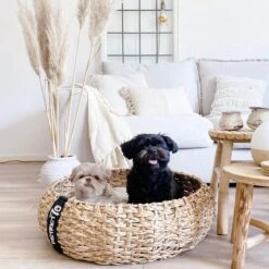 District 70 COCOON - Luxe Hondenmand Van Duurzaam Hoogwaardig Riet Met Zacht Kussen - Maten S/M/L - Large 32 District 70 COCOON - Luxe Hondenmand Van Duurzaam Hoogwaardig Riet Met Zacht Kussen - Maten S/M/L - Large -Dierenwinkel 1200x1200 88