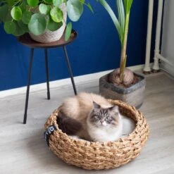 District 70 COCOON - Luxe Hondenmand Van Duurzaam Hoogwaardig Riet Met Zacht Kussen - Maten S/M/L - Large 37 District 70 COCOON - Luxe Hondenmand Van Duurzaam Hoogwaardig Riet Met Zacht Kussen - Maten S/M/L - Large -Dierenwinkel 1200x1200 92