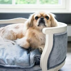 Lord Lou - George Roze Velvet S - Luxe Hondenmand - Luxe Kattenmand - 49x40x31 -Dierenwinkel 1200x1200 94