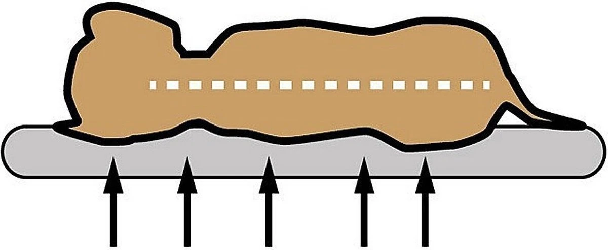 Sun Garden Pallina Orthopedisch Hondenkussen 120x80x27cm Antraciet/Grijs 5 Sun Garden Pallina Orthopedisch Hondenkussen 120x80x27cm Antraciet/Grijs - Afbeelding 3