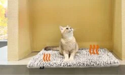 Merkloos Zelfverwarmende Dierendeken Zonder Stroom Thermo Deken Hond Kat Inclusief Adreslabel 70 X 47 Cm 18 Merkloos Zelfverwarmende Dierendeken Zonder Stroom Thermo Deken Hond Kat Inclusief Adreslabel 70 X 47 Cm -Dierenwinkel 1200x730