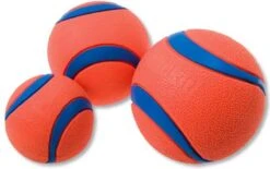 Chuckit! 10 Chuckit Ballen In Emmer - Chuckit - Veilig Voor Gebit - Hondenbal - Past In Werpstok 8 Chuckit! 10 Chuckit Ballen In Emmer - Chuckit - Veilig Voor Gebit - Hondenbal - Past In Werpstok -Dierenwinkel 1200x751 1