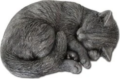 Kattenurn Asbeeld Kat Slapend Antiek Brons 26 Cm Urn Kat 9 Kattenurn Asbeeld Kat Slapend Antiek Brons 26 Cm Urn Kat -Dierenwinkel 1200x790 1