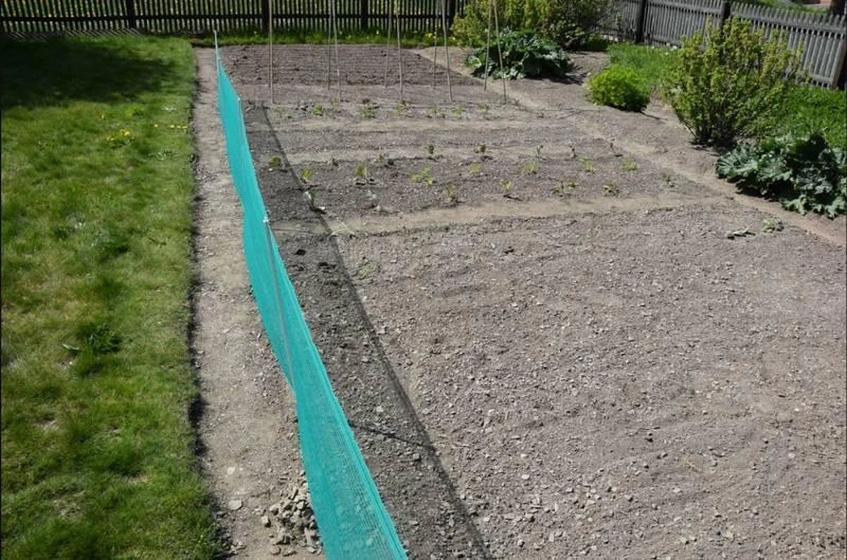 Verplaatsbare Net Afrastering Groen 80cm Hoog - 20m 11 Verplaatsbare Net Afrastering Groen 80cm Hoog - 20m - Afbeelding 9