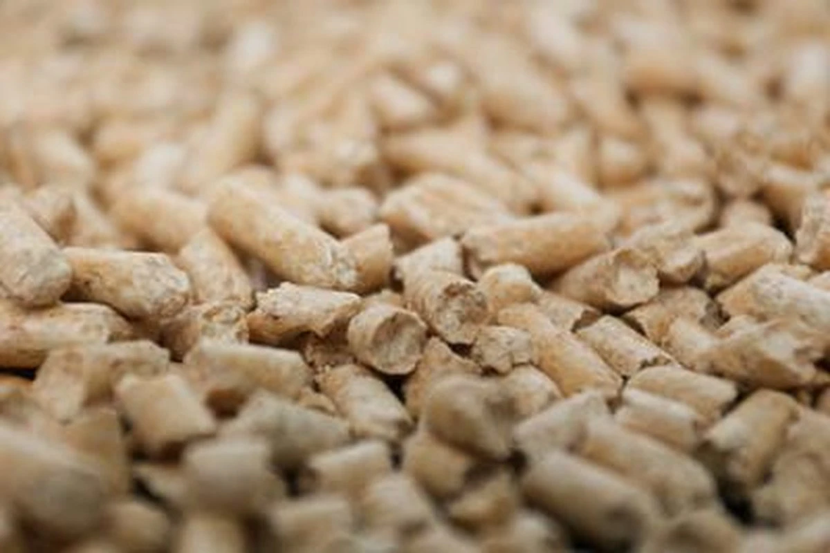 Peewee Houtkorrels Kattenbakvulling - 3 X 9 Kg (27 Kg, 42l) 4 Peewee Houtkorrels Kattenbakvulling - 3 X 9 Kg (27 Kg, 42l) - Afbeelding 2