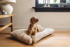 Designed By Lotte Hondenkussen Pluche Xanti Beige 100 X 68 X 5 Cm -Dierenwinkel 1200x804 1